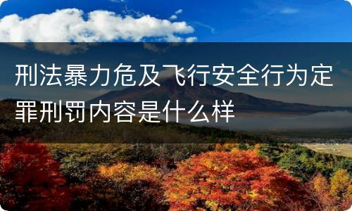 刑法暴力危及飞行安全行为定罪刑罚内容是什么样