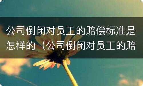 公司倒闭对员工的赔偿标准是怎样的（公司倒闭对员工的赔偿标准是怎样的呢）