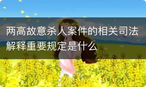 两高故意杀人案件的相关司法解释重要规定是什么