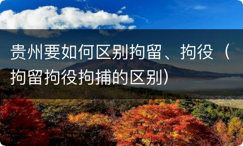 贵州要如何区别拘留、拘役（拘留拘役拘捕的区别）