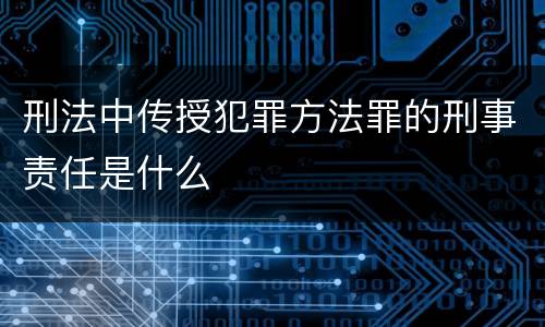 刑法中传授犯罪方法罪的刑事责任是什么