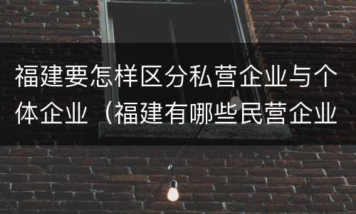 福建要怎样区分私营企业与个体企业（福建有哪些民营企业）