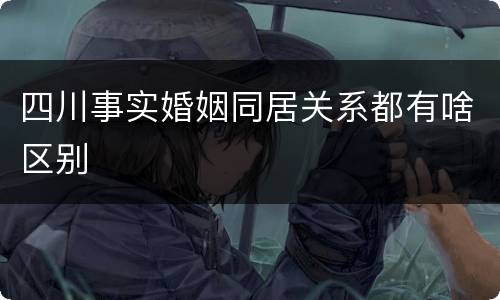 四川事实婚姻同居关系都有啥区别