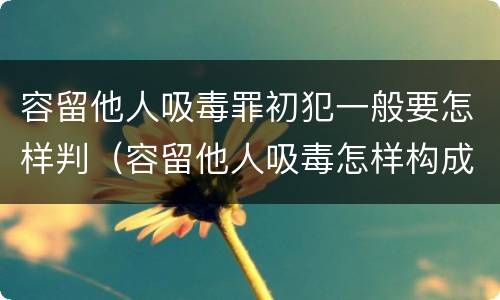 容留他人吸毒罪初犯一般要怎样判（容留他人吸毒怎样构成犯罪）