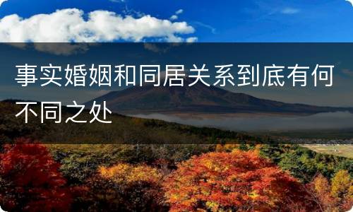 事实婚姻和同居关系到底有何不同之处