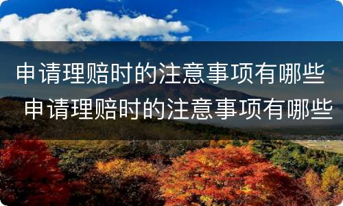 申请理赔时的注意事项有哪些 申请理赔时的注意事项有哪些要求