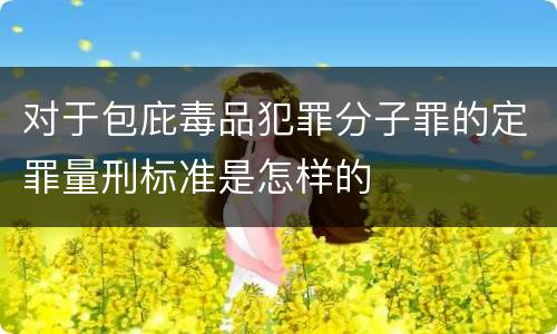 对于包庇毒品犯罪分子罪的定罪量刑标准是怎样的