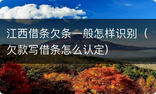 江西借条欠条一般怎样识别（欠款写借条怎么认定）
