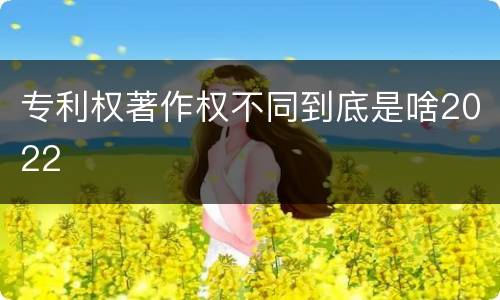专利权著作权不同到底是啥2022