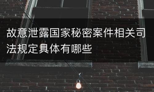 故意泄露国家秘密案件相关司法规定具体有哪些