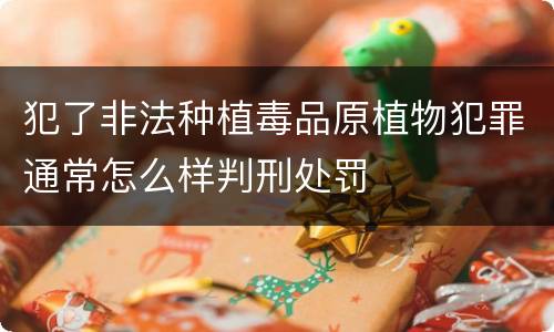 犯了非法种植毒品原植物犯罪通常怎么样判刑处罚