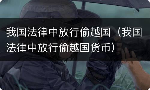 我国法律中放行偷越国（我国法律中放行偷越国货币）