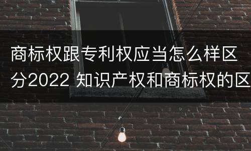 商标权跟专利权应当怎么样区分2022 知识产权和商标权的区别