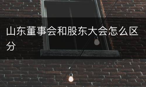 山东董事会和股东大会怎么区分
