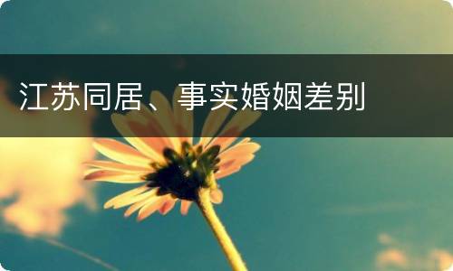 江苏同居、事实婚姻差别