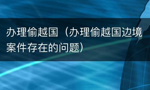 办理偷越国（办理偷越国边境案件存在的问题）