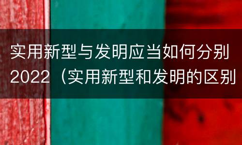 实用新型与发明应当如何分别2022（实用新型和发明的区别）