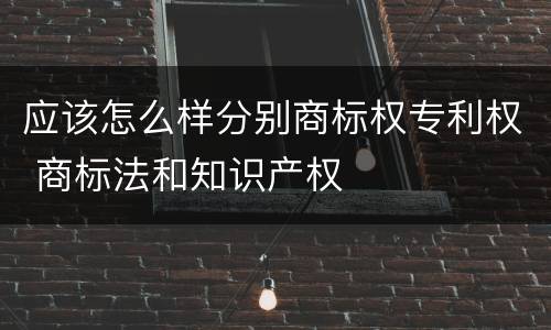 应该怎么样分别商标权专利权 商标法和知识产权