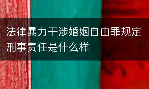 法律暴力干涉婚姻自由罪规定刑事责任是什么样