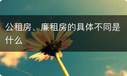 公租房、廉租房的具体不同是什么