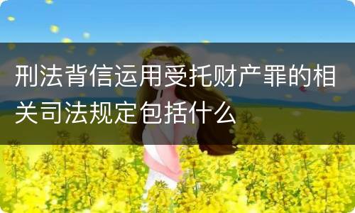 刑法背信运用受托财产罪的相关司法规定包括什么