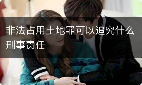 非法占用土地罪可以追究什么刑事责任