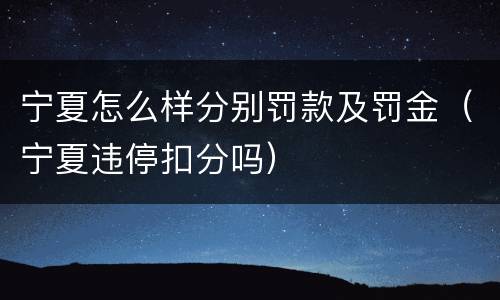 宁夏怎么样分别罚款及罚金（宁夏违停扣分吗）
