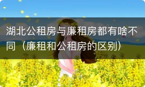 湖北公租房与廉租房都有啥不同（廉租和公租房的区别）