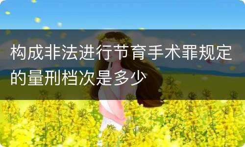 构成非法进行节育手术罪规定的量刑档次是多少