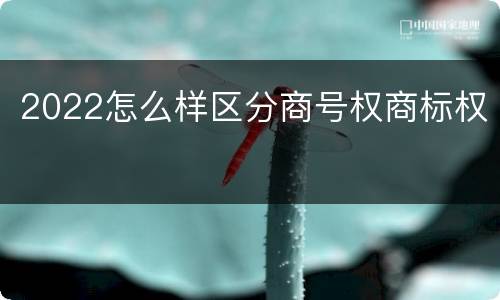 2022怎么样区分商号权商标权
