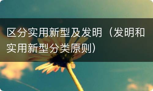 区分实用新型及发明（发明和实用新型分类原则）