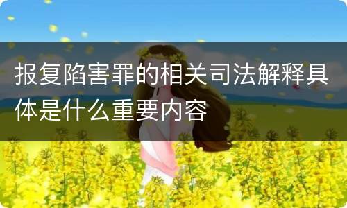 报复陷害罪的相关司法解释具体是什么重要内容