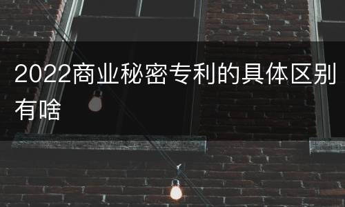 2022商业秘密专利的具体区别有啥
