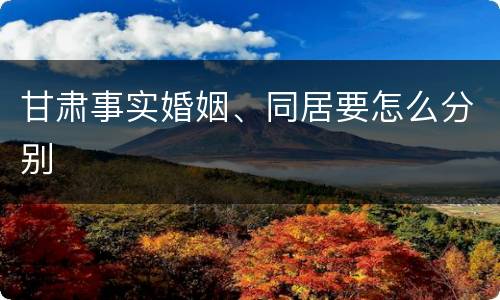 甘肃事实婚姻、同居要怎么分别