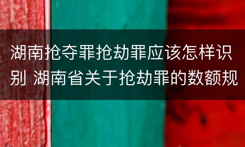 湖南抢夺罪抢劫罪应该怎样识别 湖南省关于抢劫罪的数额规定
