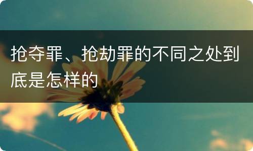 抢夺罪、抢劫罪的不同之处到底是怎样的