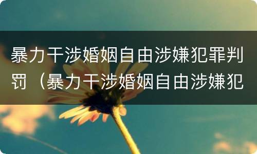 暴力干涉婚姻自由涉嫌犯罪判罚（暴力干涉婚姻自由涉嫌犯罪判罚案例）