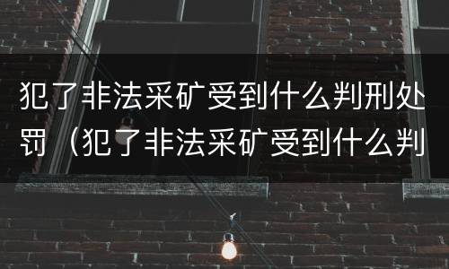 犯了非法采矿受到什么判刑处罚（犯了非法采矿受到什么判刑处罚呢）