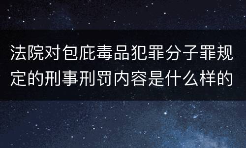 法院对包庇毒品犯罪分子罪规定的刑事刑罚内容是什么样的