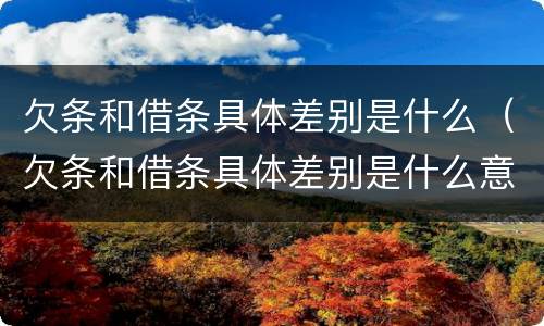 欠条和借条具体差别是什么（欠条和借条具体差别是什么意思）