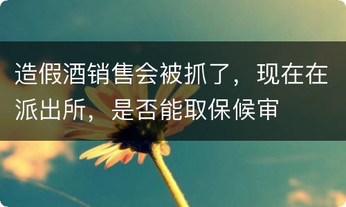 造假酒销售会被抓了，现在在派出所，是否能取保候审