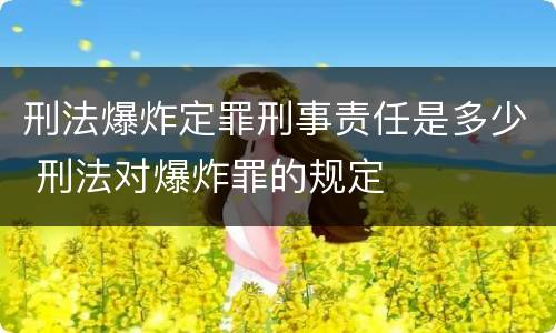 刑法爆炸定罪刑事责任是多少 刑法对爆炸罪的规定