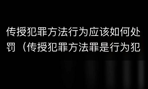 传授犯罪方法行为应该如何处罚（传授犯罪方法罪是行为犯吗）