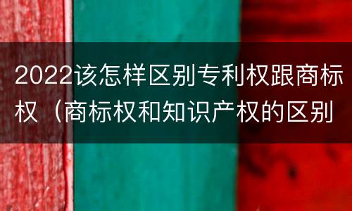 2022该怎样区别专利权跟商标权（商标权和知识产权的区别）