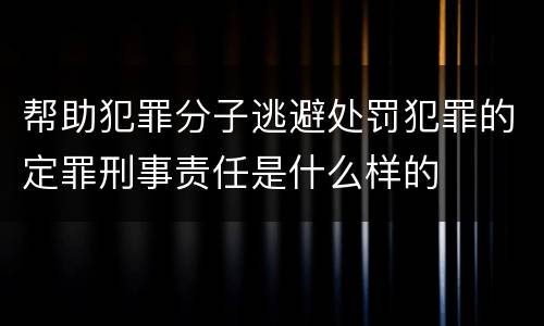 帮助犯罪分子逃避处罚犯罪的定罪刑事责任是什么样的