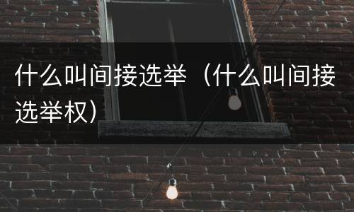 什么叫间接选举（什么叫间接选举权）