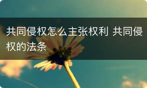 共同侵权怎么主张权利 共同侵权的法条