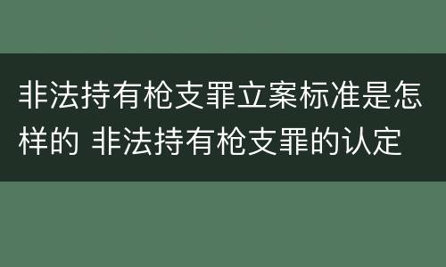 非法持有枪支罪立案标准是怎样的 非法持有枪支罪的认定