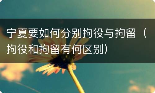 宁夏要如何分别拘役与拘留（拘役和拘留有何区别）