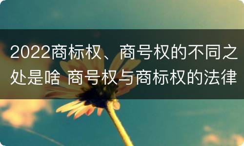 2022商标权、商号权的不同之处是啥 商号权与商标权的法律冲突与解决